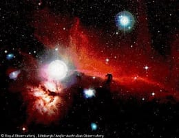 Orion's Stunning Dark Horse Cloud Mystery