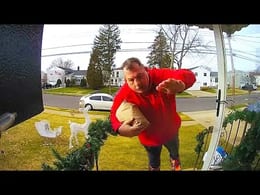 Security Cameras Expose Hilarious Human Disasters