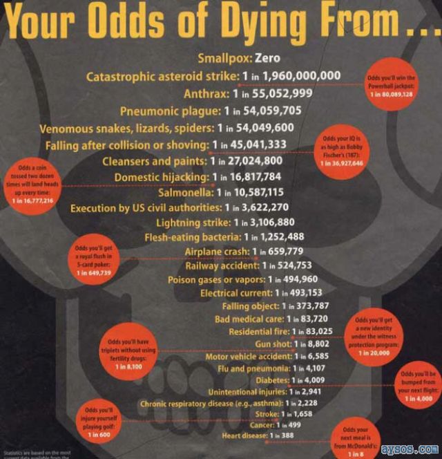 Cool picture showing your odds of dying