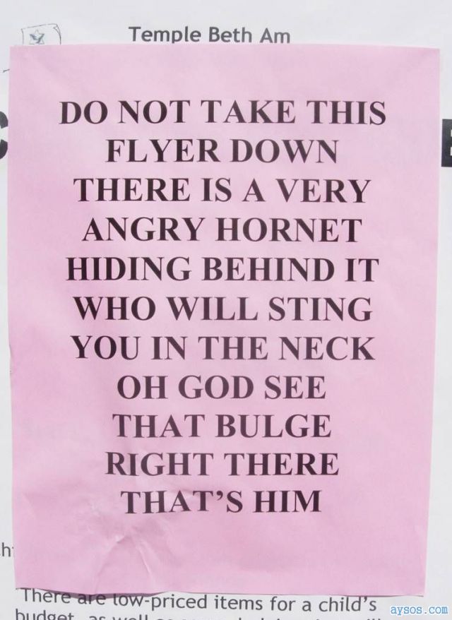 Funny Sign Angry Hornet