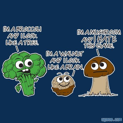 Funny picture looks like what