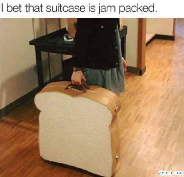 Guy Travels with Giant Bread Slice Suitcase