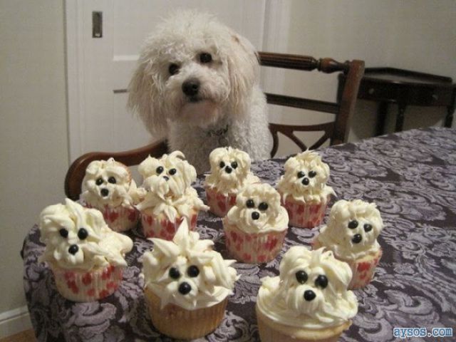 Cute puppy cup cakes