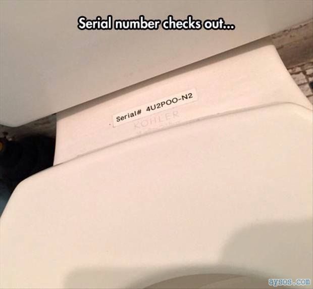 Funny Toilet Serial Number