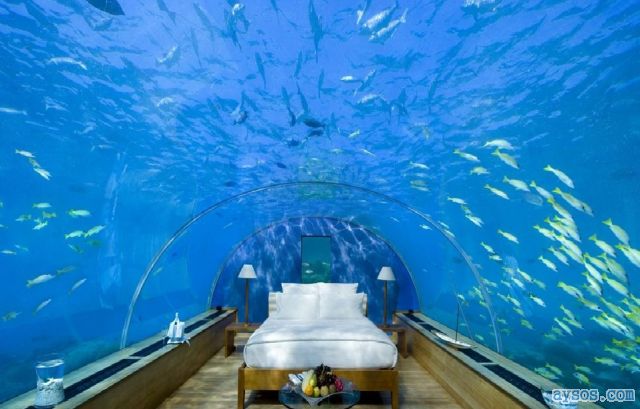 Cool picture Underwater Bedroom