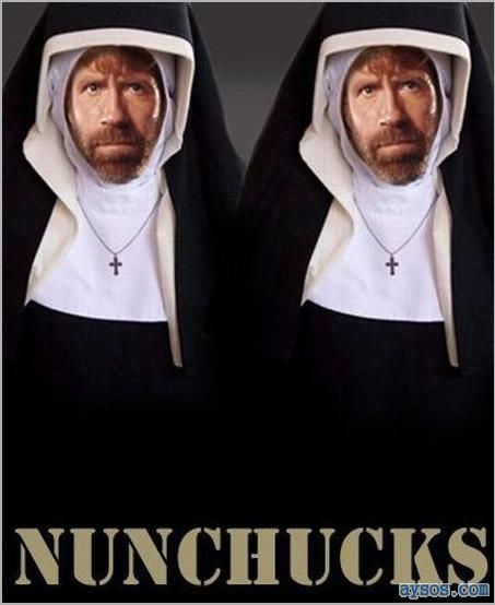 Funny Chuck Norris NunChucks picture