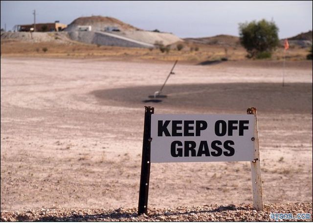 Keep off of the grass crazy sign