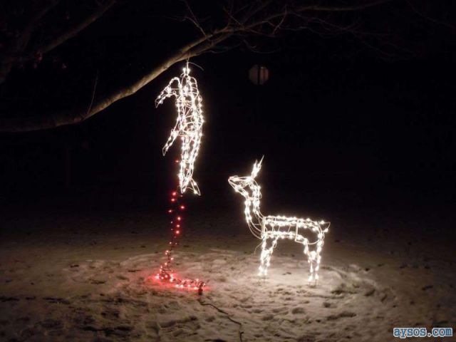 Funny Deer Christmas decoration picture
