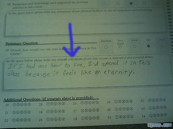 Funny Class Survey Answer
