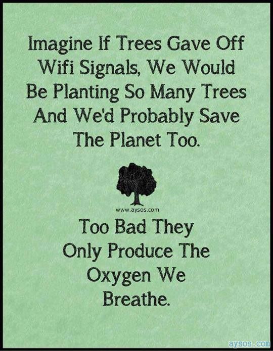 Trees that provide WiFi signal