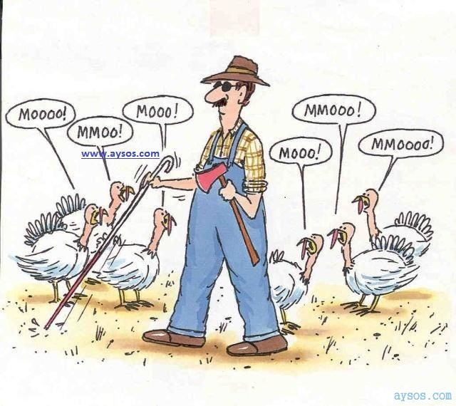 Blind Man with Chickens Funny Cartoon