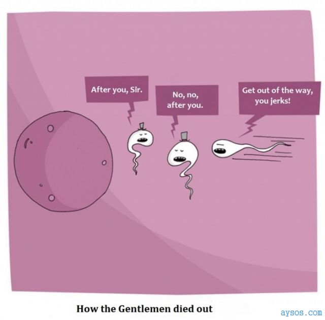 Funny picture Gentlemen finish last