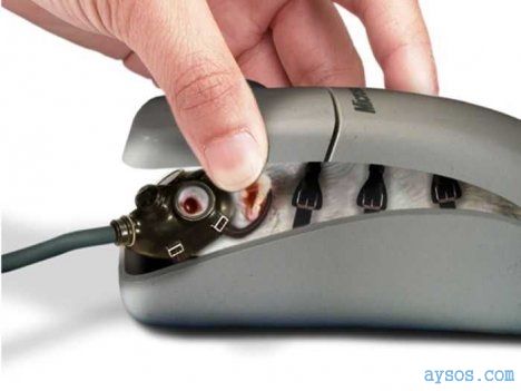Microsoft Mouse mouse