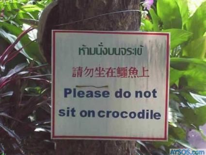Do not sit on Crocodile