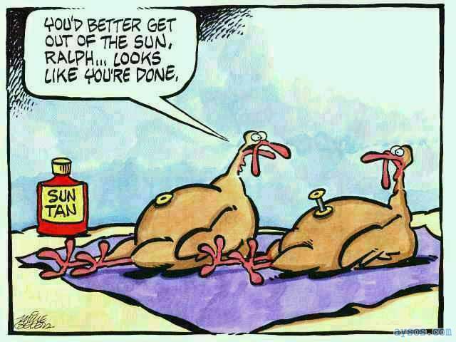 Happy Thanksgiving Funny Turkey Picture