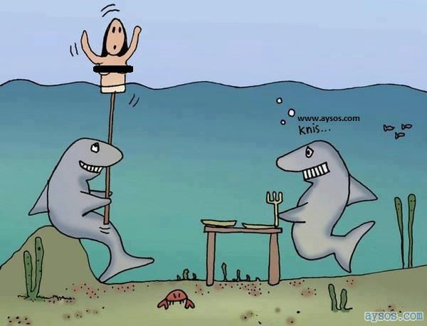 Tricky Sharks are Hungry and Waiting