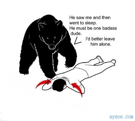 How to survive a bear attack