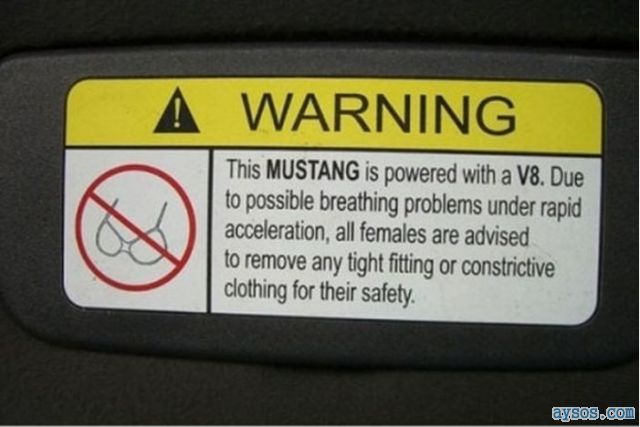 Ford Mustang funny warning label picture