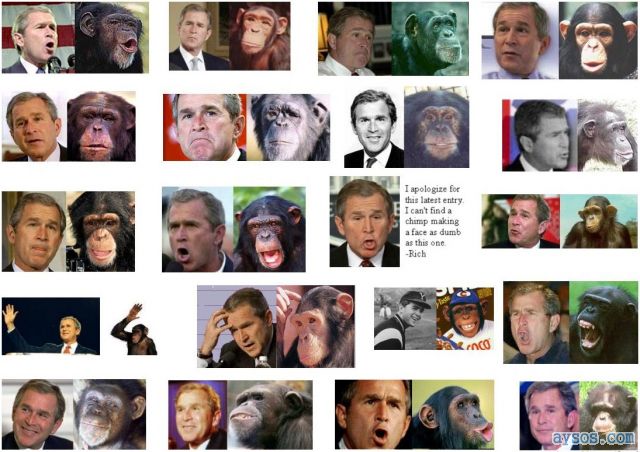 George Bush looks like a monkey