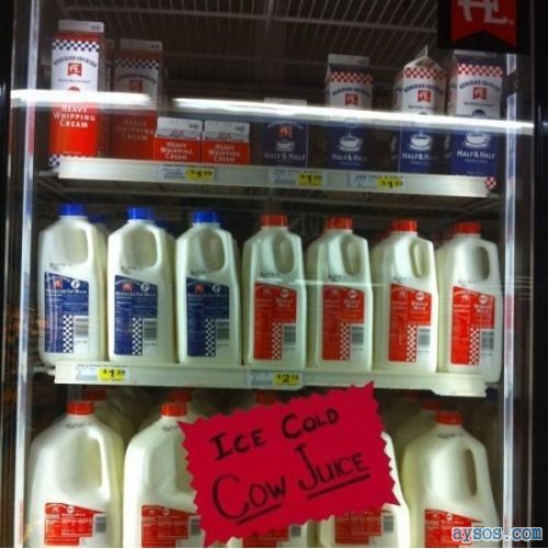 Milk or is it Cow Juice