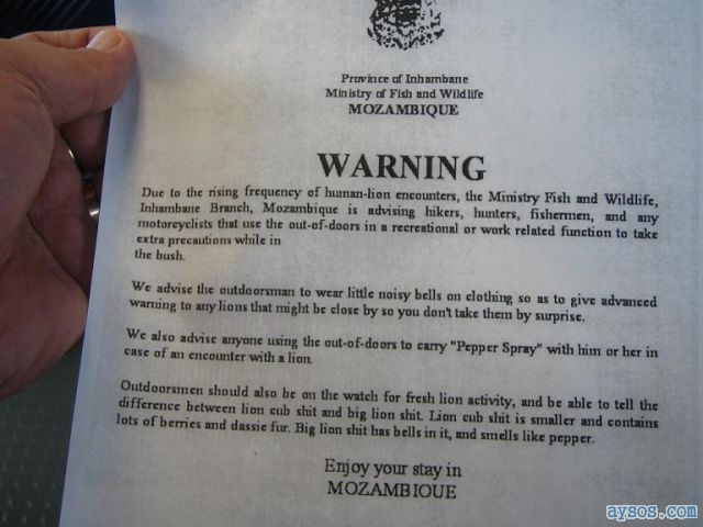 Funny Lion Warning Letter