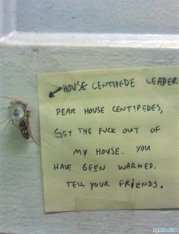 Funny sign centipede bug killed