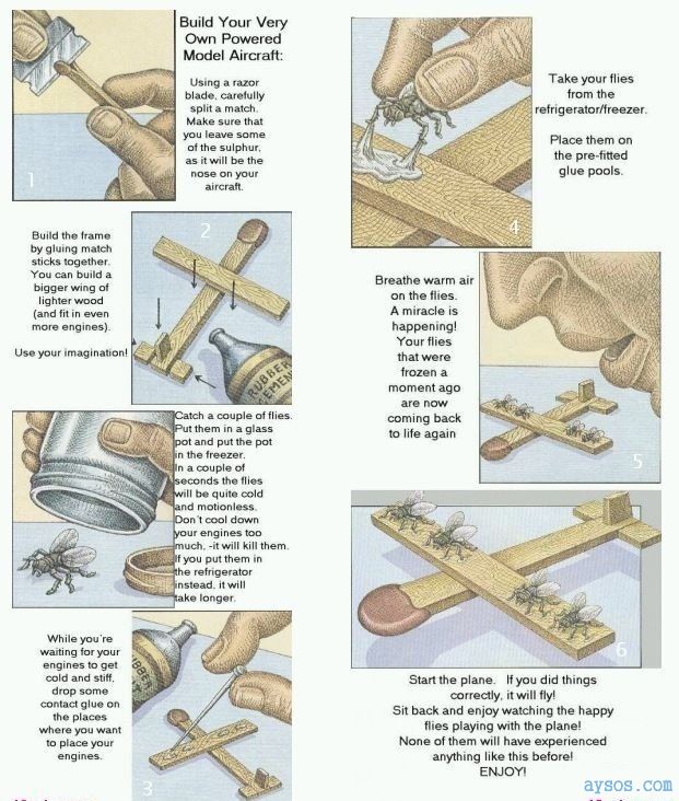 Flying match plane with real flies