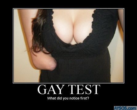 Another Gay Test picture