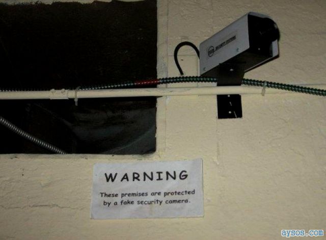 Fake Security Camera