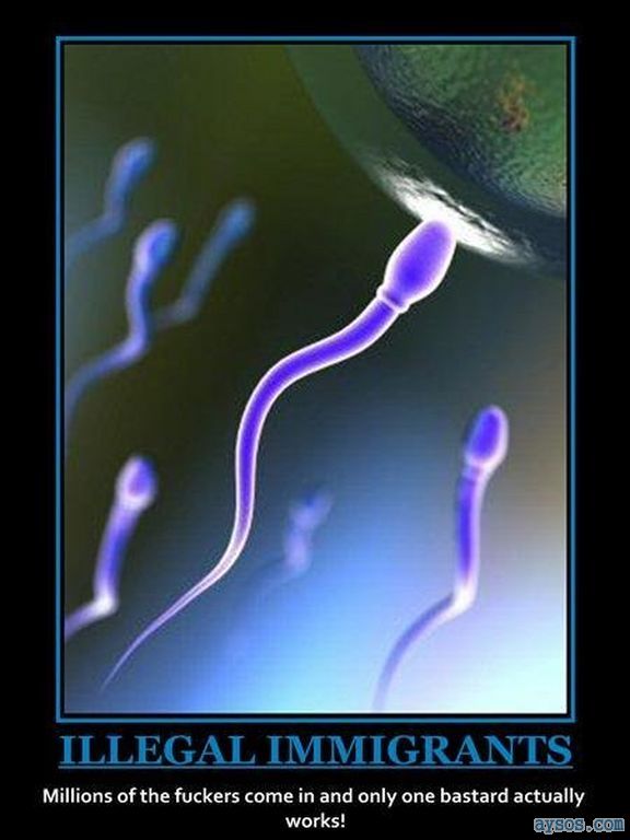 Illegal immigrants are like sperm