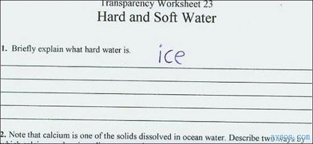 Funny picture of actual test answer