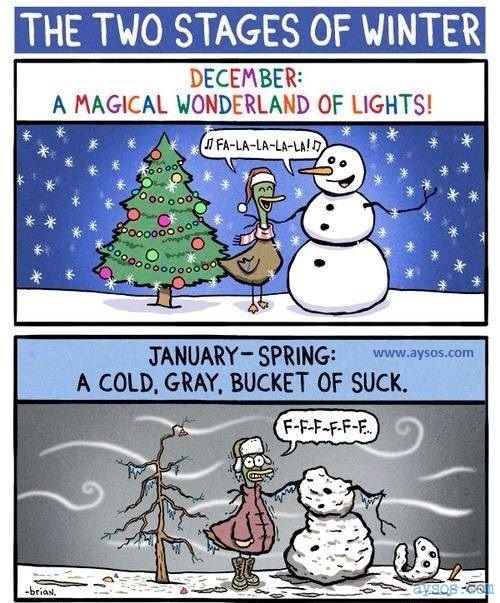 Funny Two Stages of Winter