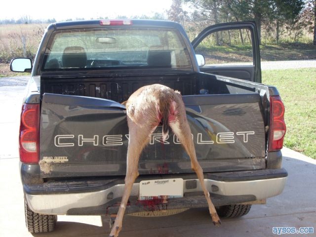 Guy gets a Deer, dents up his Truck