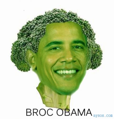 Funny Broc Obama Picture