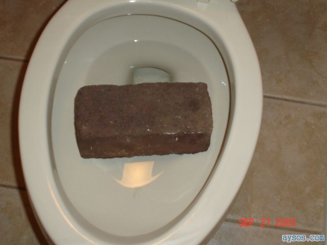 Brick shit in the Toilet