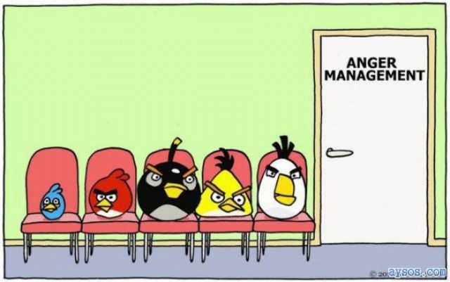 Angry Birds anger management class