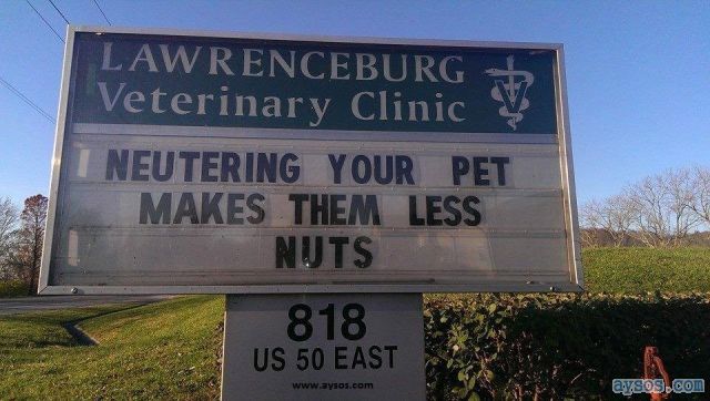 Veterinary Clinic Neutering Your Pet