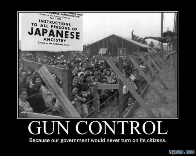 Government Gun Control