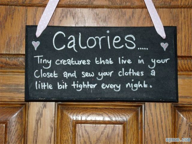 Funny definition of the word Calories