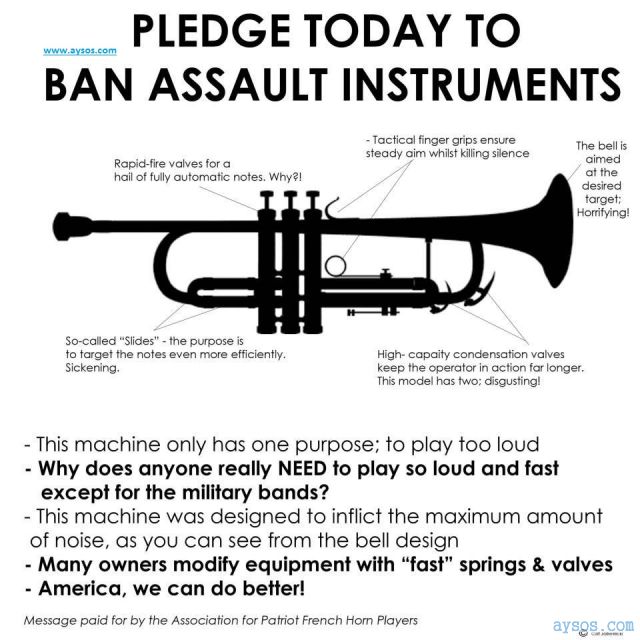 Ban Assault Instruments Now