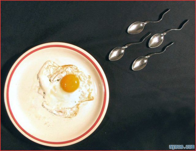 Funny picture sperm and the egg