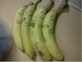 Cute bananas cuddling