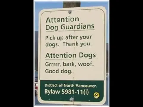 Very Funny Stupid Signs Video