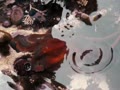 Crazy video of Octopus walking on land