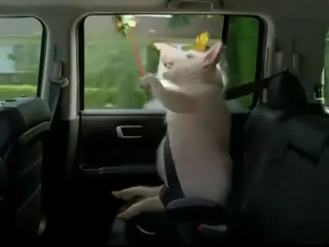 Wee Wee Wee commercial revenge