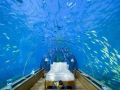 Cool picture Underwater Bedroom
