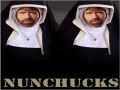 Funny Chuck Norris NunChucks picture