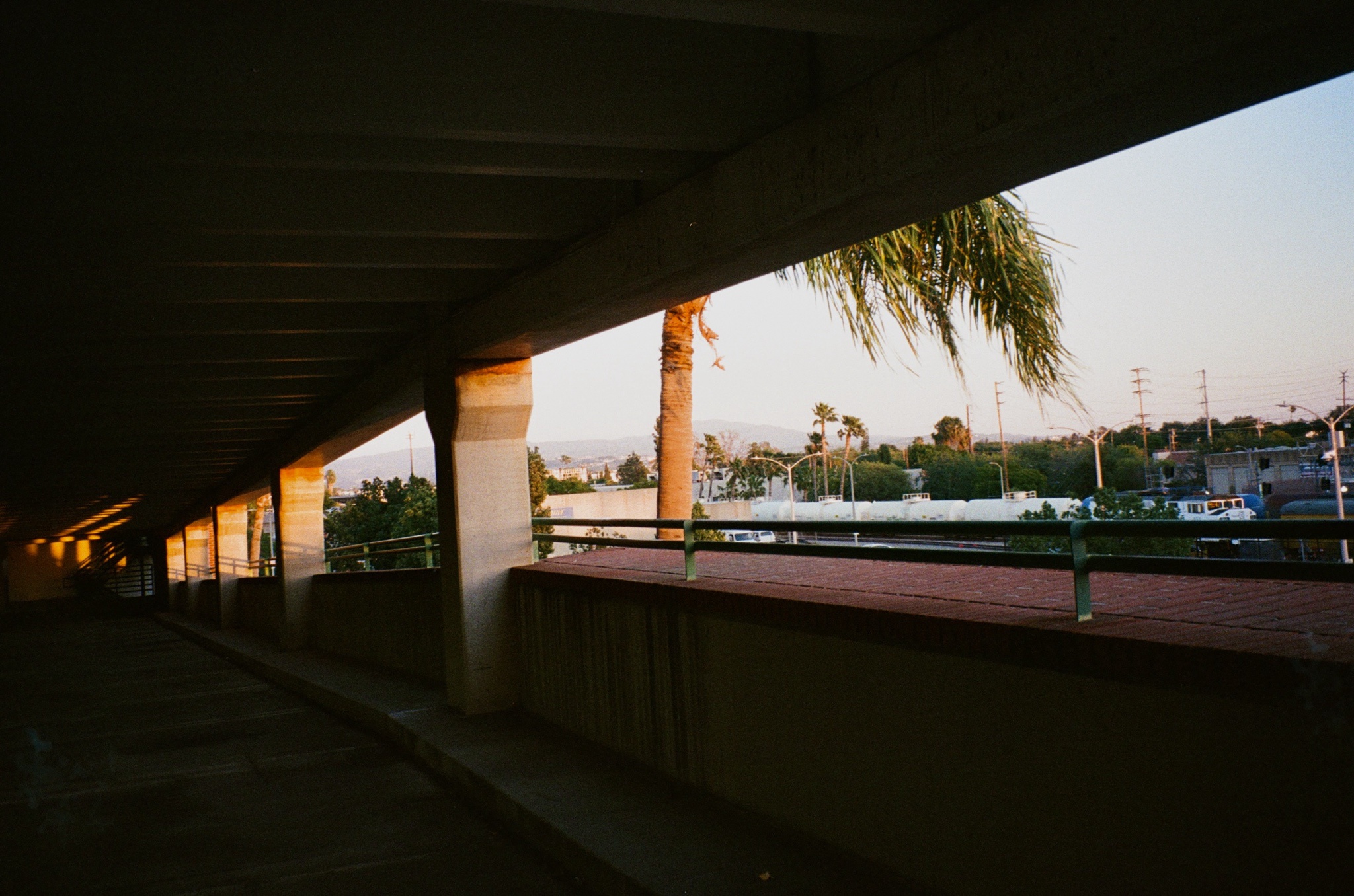 Fullerton Residents Discover Spiciest Dating App