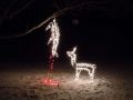 Funny Deer Christmas decoration picture