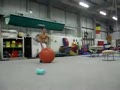 Exercise Ball Back Flip